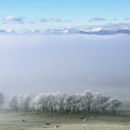 Snow covered Helvellyn Range tops above cloud inversion, seen from Beacon Edge, Penrith, Cumbria on frosty morning